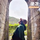 불정역 | 경북 감성 사진 찍기 좋은곳 가볼만한곳 문경 여행 불정역 폐역