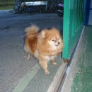 원주종합운동장 이미지