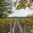 오천읍 해와달 이미지