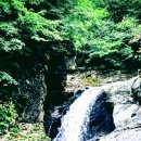 폭포펜션 이미지