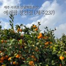 제주237농업회사법인