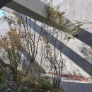 브레이브웍스 | 경주 신상대형카페, 불국사 근처 브레스커피윅스 주말 방문 후기