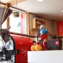 가스펠리아 이미지