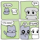 순애의집 | 무례하긴, 순애야