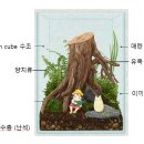 내 책상위의 작은 숲 테라리움 | 내 책상 위 작은 숲: 지브리 감성 테라리움 가이드