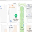 봉우리다옴메디월요가