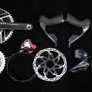 장수-장수-비상-01 이미지