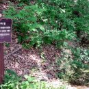 행운3길 이미지