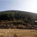 선흘 스카이 이미지