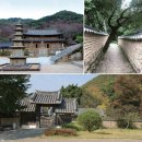 철종외가묘 | 영화명당 明堂