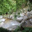 숲속의 산책 이미지