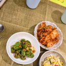 뿌리민박 이미지