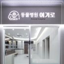 동물병원 여기로 이미지