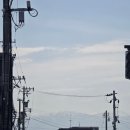 칠복상사 - 3129 | 칠복상사