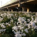 (주)도시와 숲
