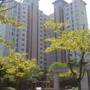 김포한강1로 이미지