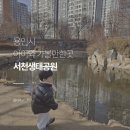 서천공원 | 용인 아기랑 갈만한 곳 서천생태공원 무료 오리와 잉어 구경 주차 유모차 팁