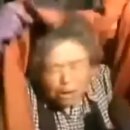 호롤롤로