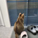 다복해 이미지