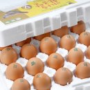 황금알마트 이미지