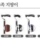 백세플러스의료기 이미지