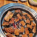 송죽잎 이미지