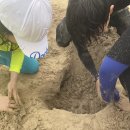 호성목장 이미지