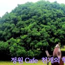 향나무쉼터 이미지