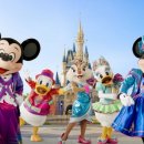 킹 태권도장 이미지