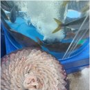 눈앞에 바다 이미지