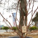 하늘농원 이미지