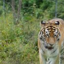 황제농원 이미지