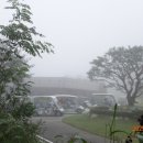 여주-0841 Daum카페