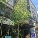 명동PC | 서울 종각놀거리추천 명동만화카페 종로관철점 놀숲 후기