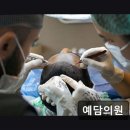 예담피부과의원 이미지
