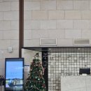 오션힐스 골프 & 리조트 | [영천 골프장] 1월 1일 신년 라운딩 후기, 오션힐스 영천CC 겨울 골프 솔직후기