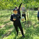 토우 농장 이미지