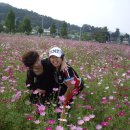 미리 결석계 제출합니다 이미지