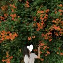 CU 성수한강한신점 이미지