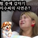 전생은 현생으로 이어지고 현생은 다음생으로 이어지는 증거?ㅡ 국민을 속이는것은 큰 죄를 짓는것? 이미지