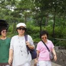 맛있는집믿거나말거나 이미지