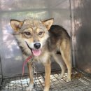 양장축산 이미지