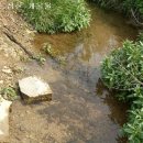 개울농장 이미지