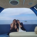 주문진시장약국 이미지