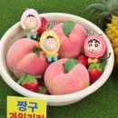 짱구과일