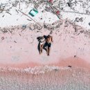 핑크비치 이미지