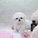 큐티