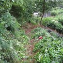 놀부농장 이미지