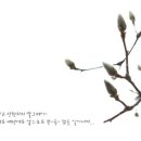 홍삼이야기 - 화성시 | 홍삼이야기