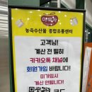 진영마트 | 김해 진영 농축수산물유통센터 야묵자식자재마트 후기